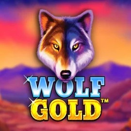 Play the Wolf Gold slot by Pragmatic Play on Slotrize Casino